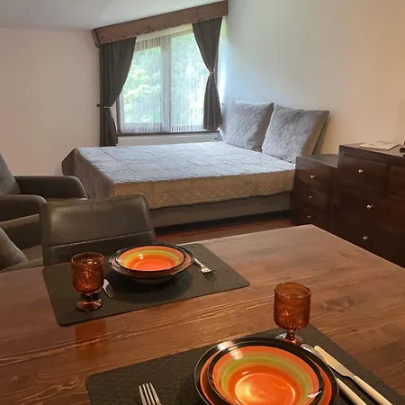 Apartman Violet Cozy - *