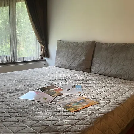 Apartman Violet Cozy - Banszko